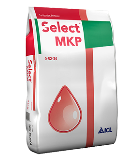 ��������������� MK�